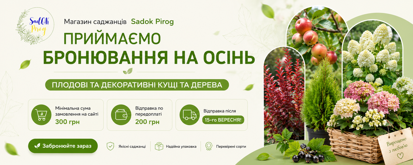 бронювання осінь