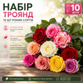 Асортимент троянд